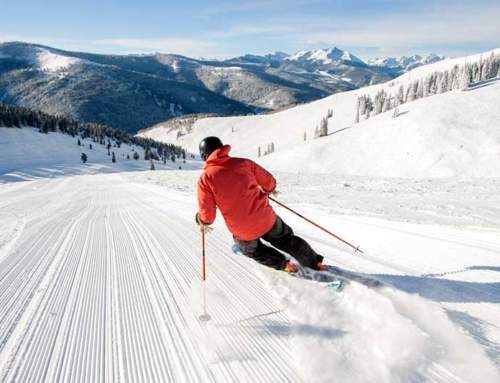 Skiing and Snowboarding