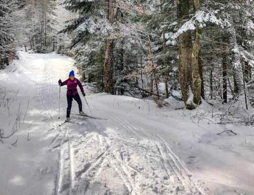 Nordic Skiing